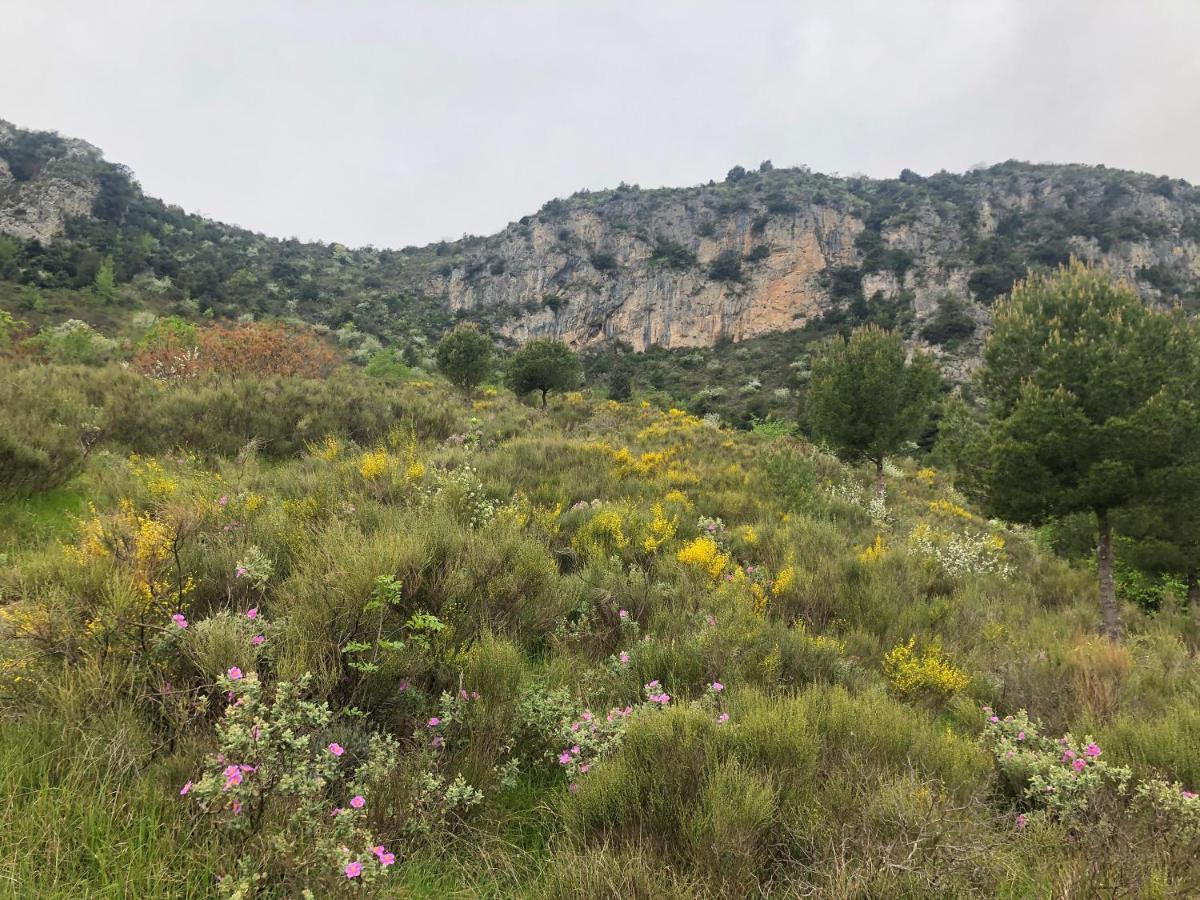 "Aux Balcons Du Riou" Avec Vue Mer 180 Degres Vence Zewnętrze zdjęcie