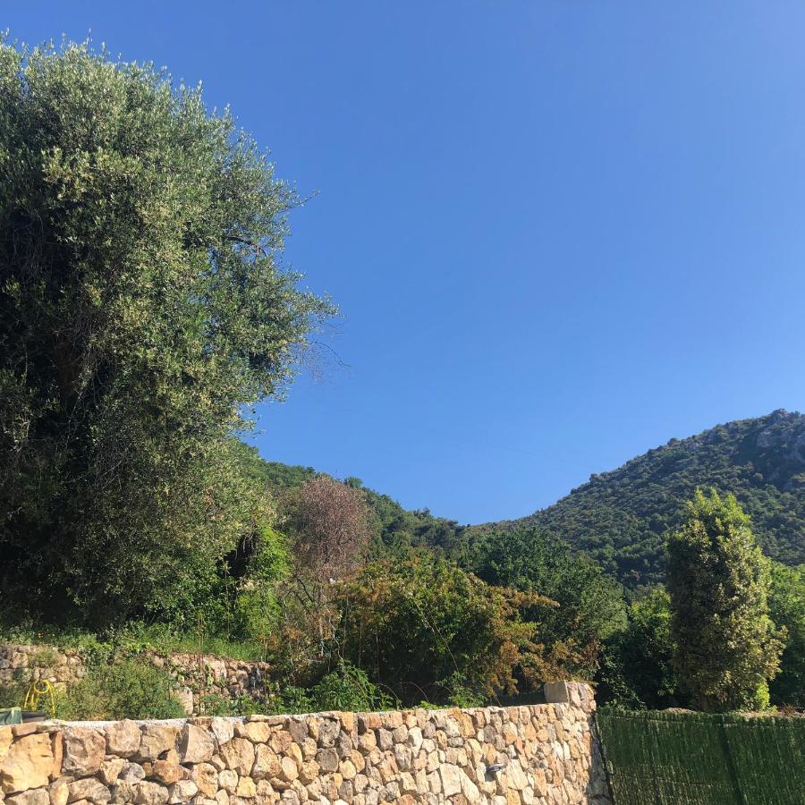 "Aux Balcons Du Riou" Avec Vue Mer 180 Degres Vence Zewnętrze zdjęcie
